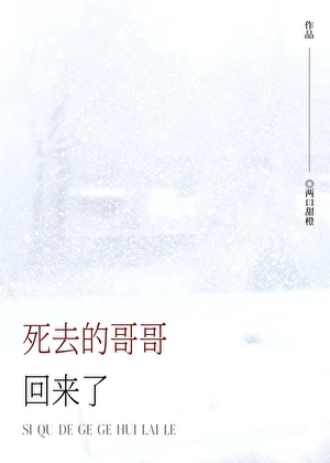 死去的哥哥回来了[无限]