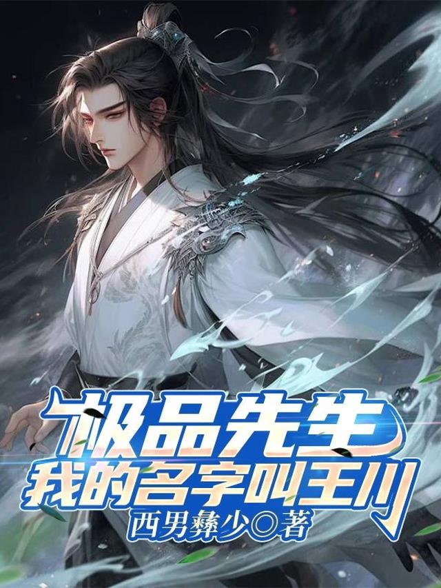 极品先生,我的名字叫王川 极品先生,我的名字叫王川