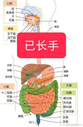 原来我不是精神病啊