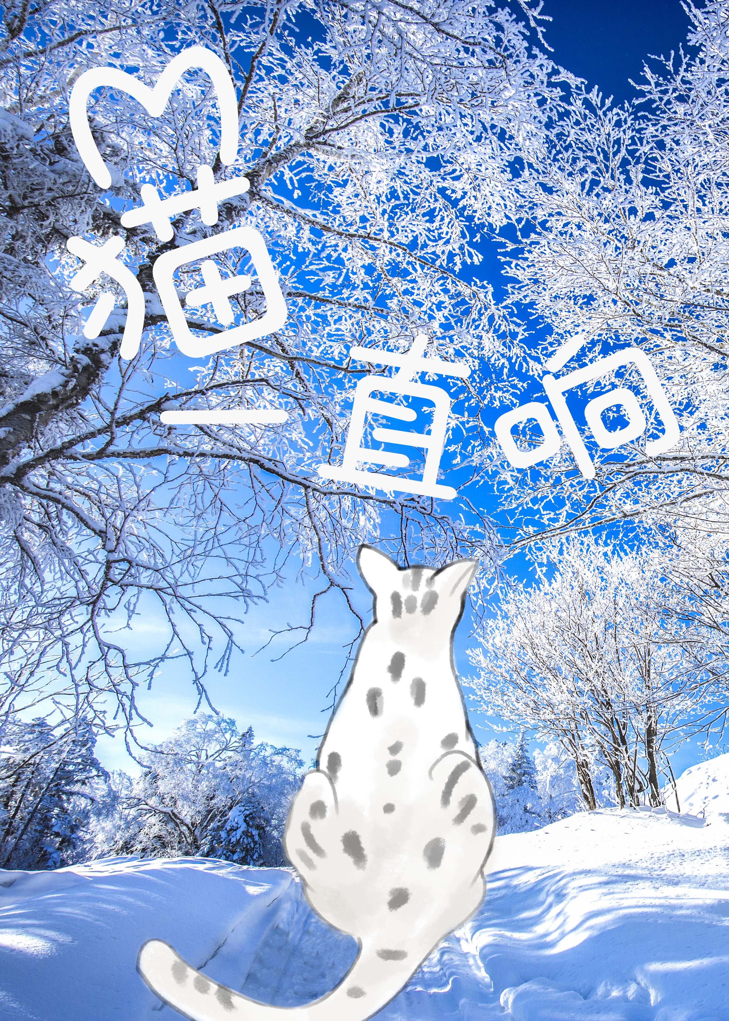 猫一直响