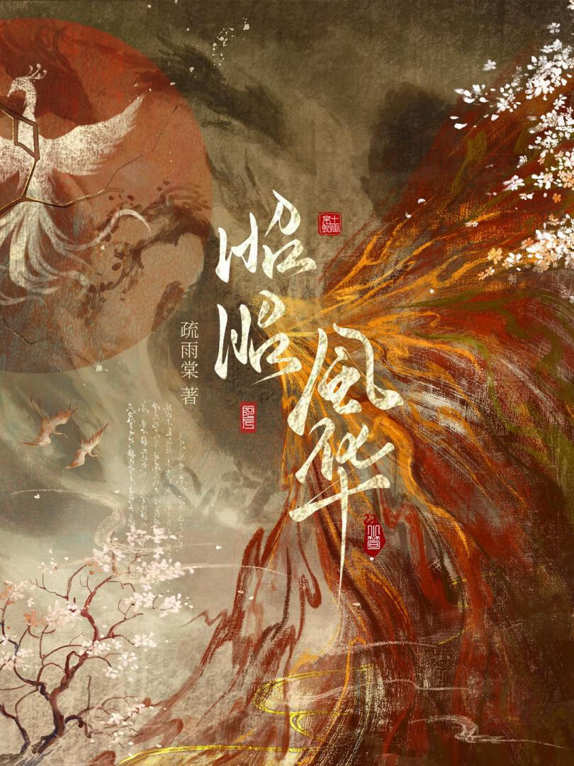 昭昭风华